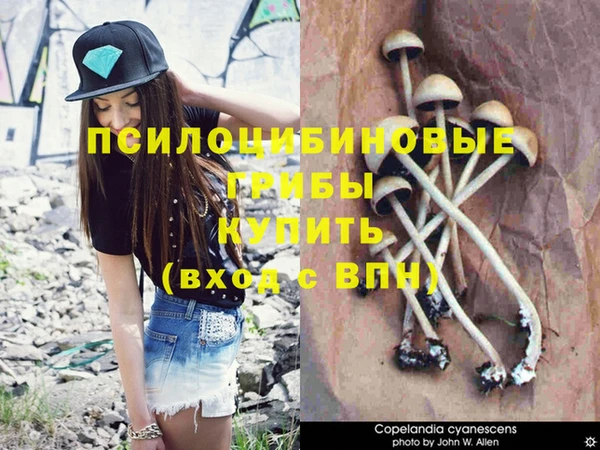кокс Аркадак