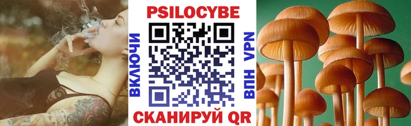 купить   площадка Telegram  Галлюциногенные грибы Cubensis  Нарьян-Мар 