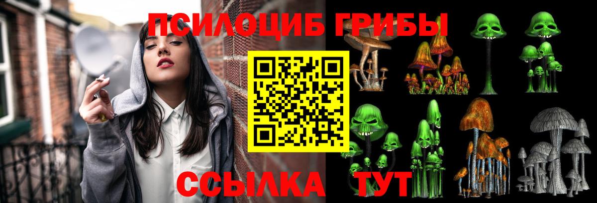 Псилоцибиновые грибы MAGIC MUSHROOMS Нарьян-Мар